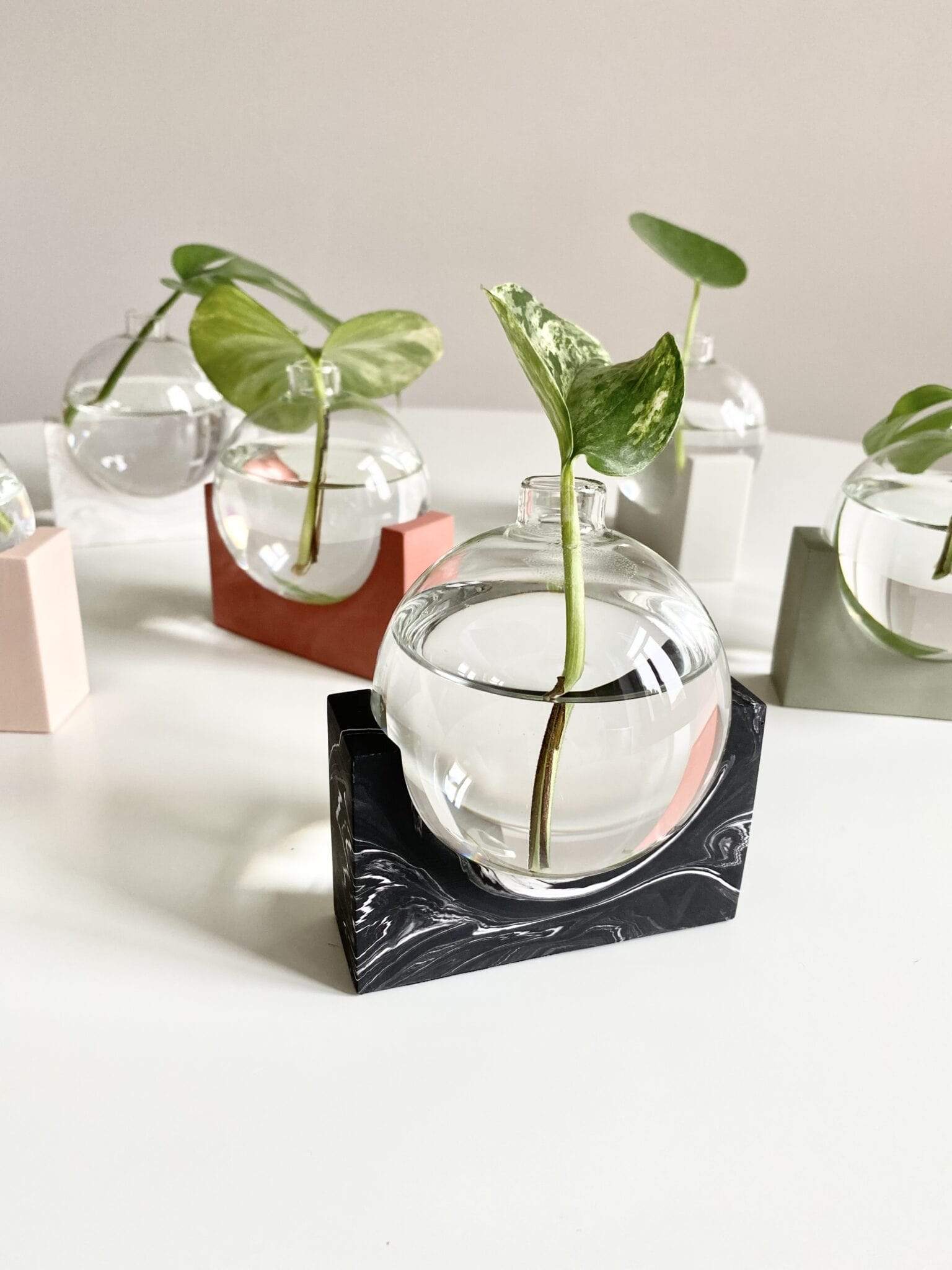 植物剪切新时尚 | 比利时 House Raccoon 设计的水晶 propagation station-10