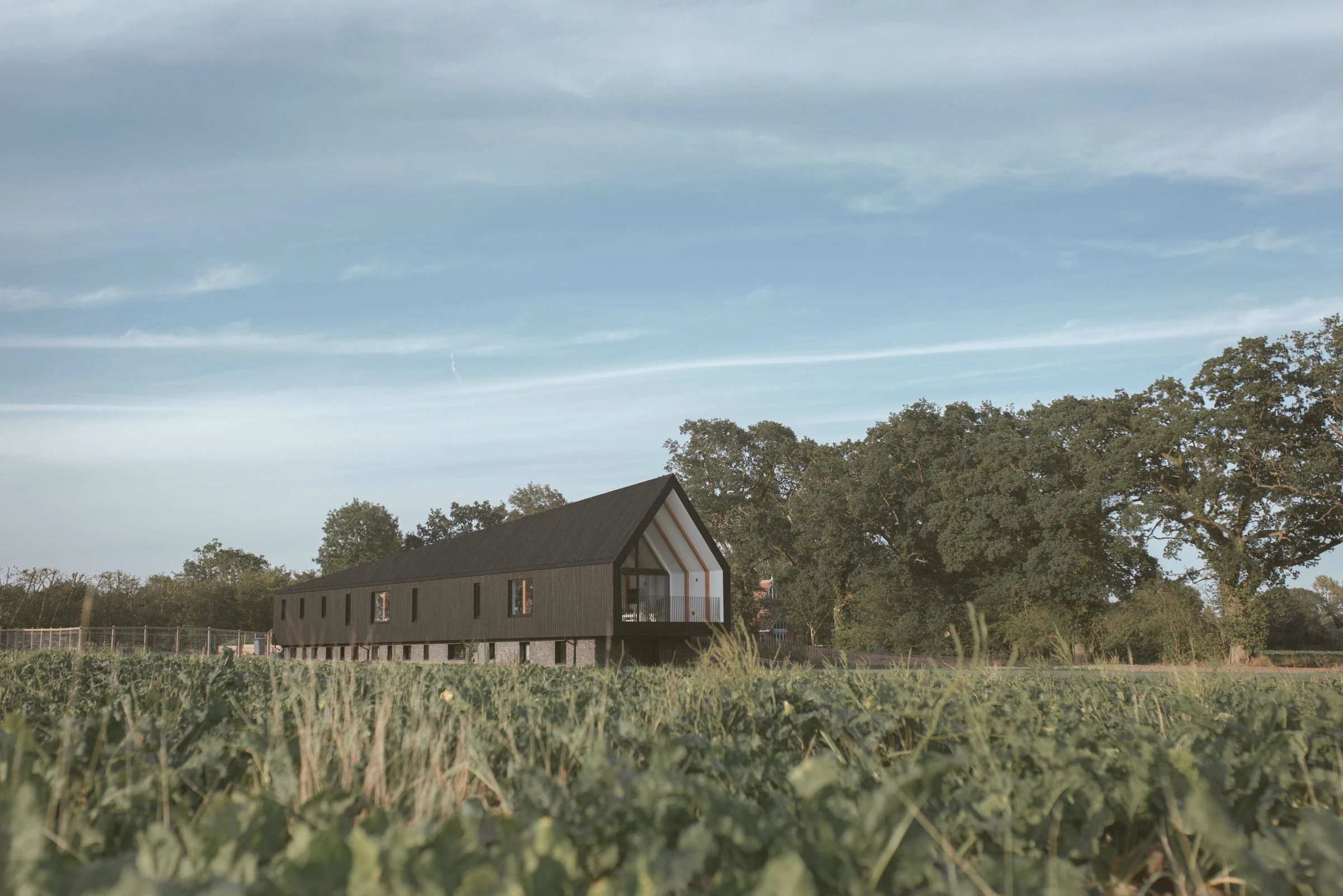 英国乡村环保住宅“黑 barn”-16