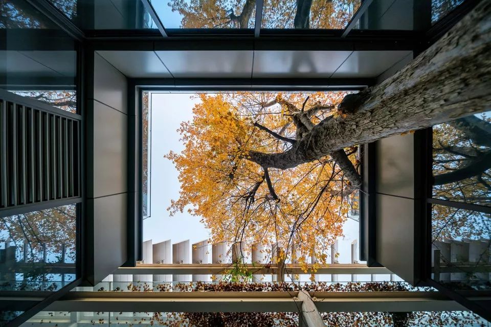 新苏集团研发中心——自然与人工的和谐共生-11