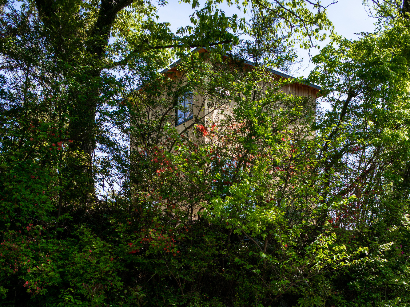 日本伊豆高原 I 住宅丨Florian Busch Architects-13
