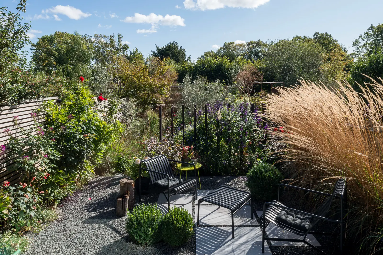 伦敦附近维多利亚式住宅的现代改造-18