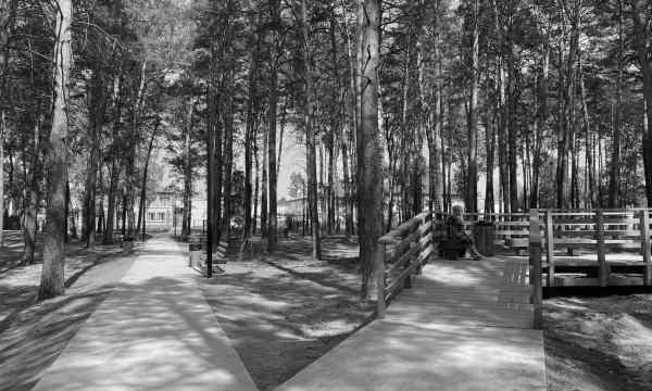 城市花园景观设计·阿西诺市中心“团结城市”项目丨俄罗斯托木斯克丨托木斯克州城市环境发展中心-52