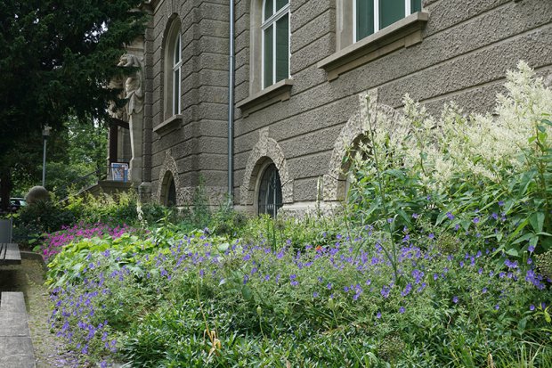 不伦瑞克市立博物馆丨Büro Christian Meyer-0