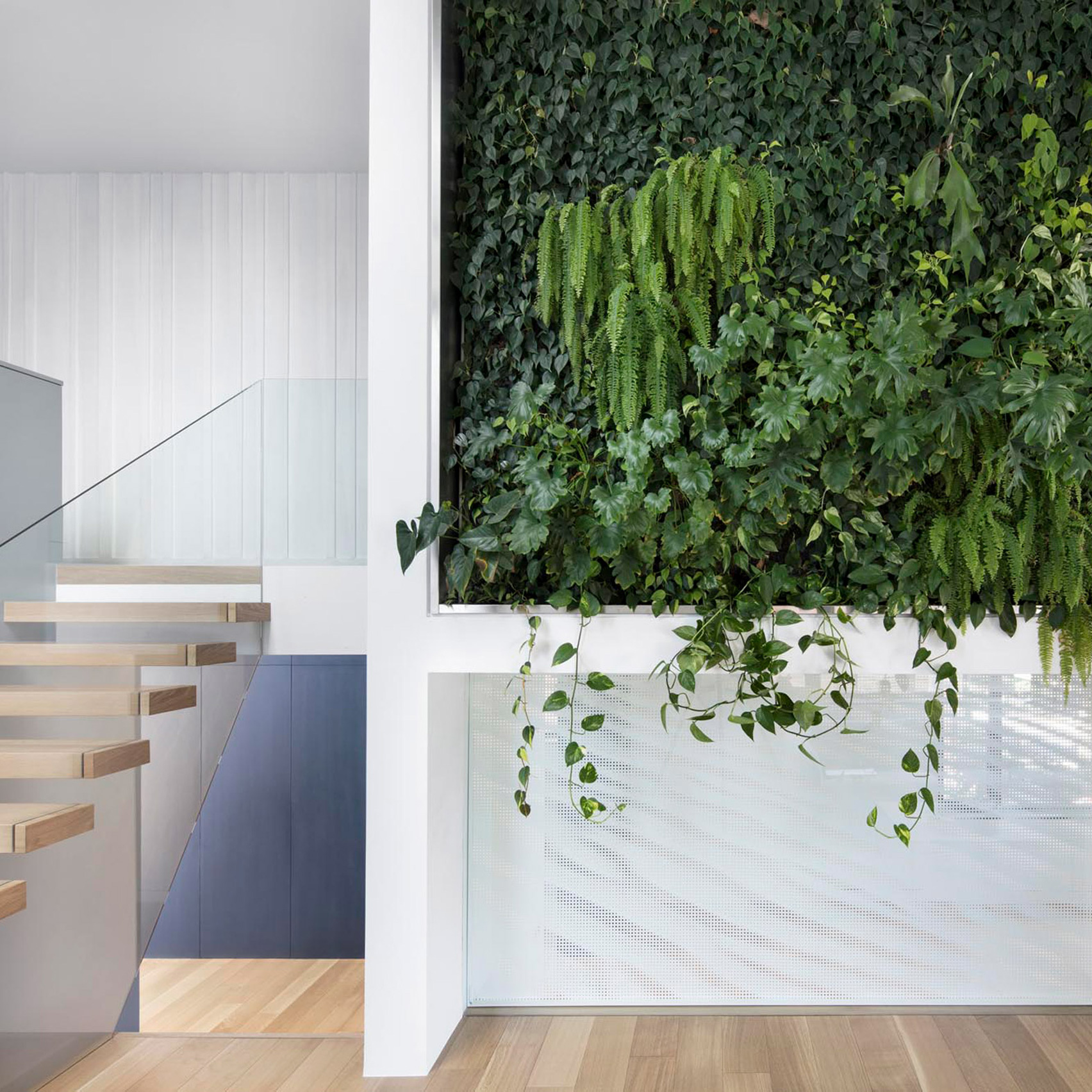 Naturehumaine enlivens Montreal house with plant-covered wall-0