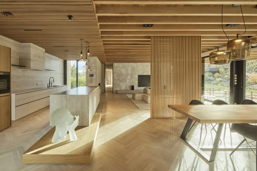 布拉格附近的花园别墅丨CzechPrague丨Atelier Kunc Architects-10