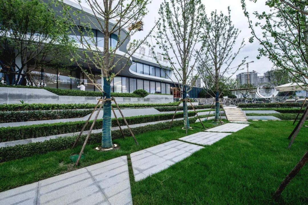 一叶行山海 | 大家天阳·榕华福邸-68