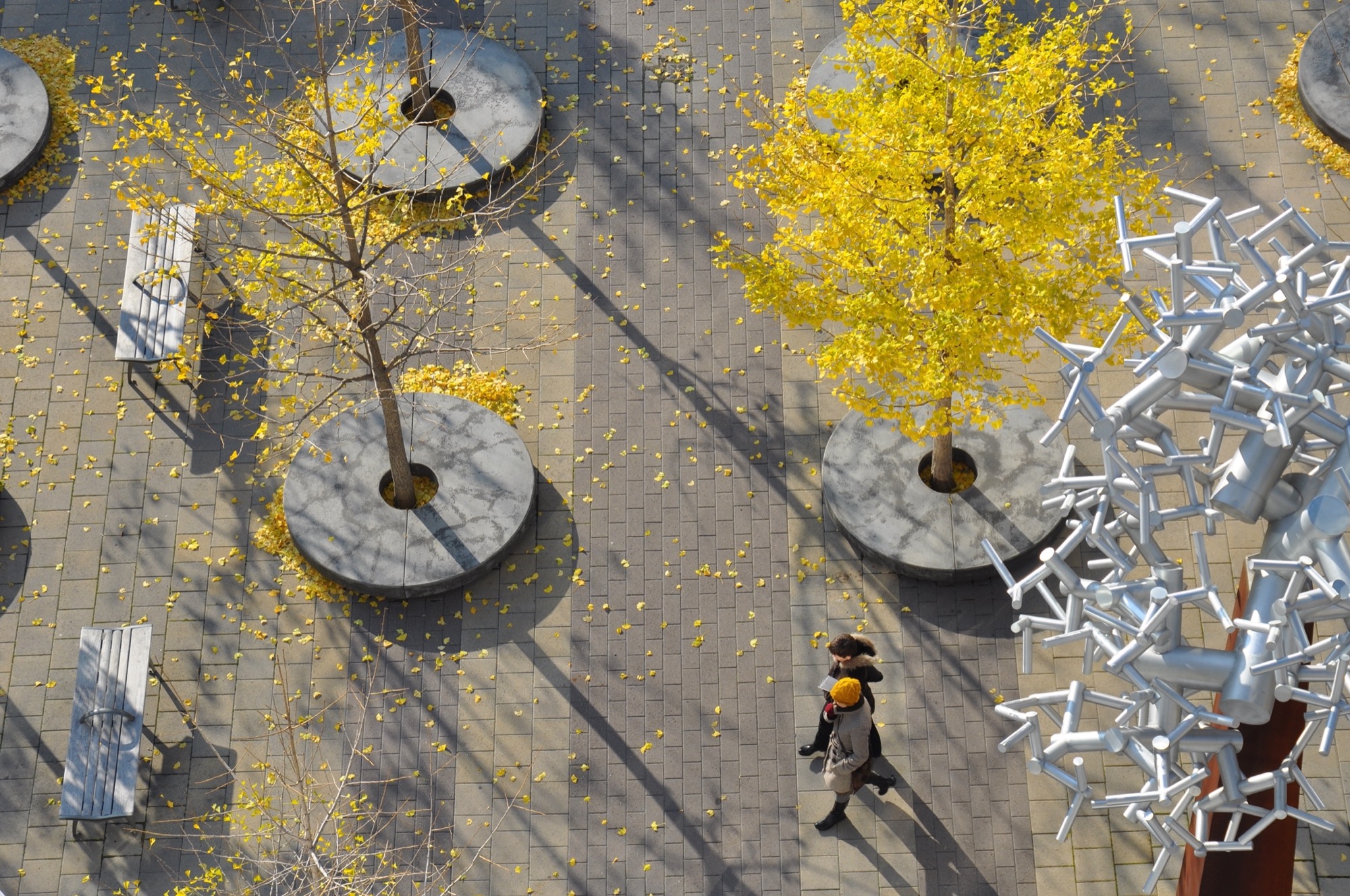 多伦多城镇大厅广场丨加拿大多伦多丨Janet Rosenberg Studio-0