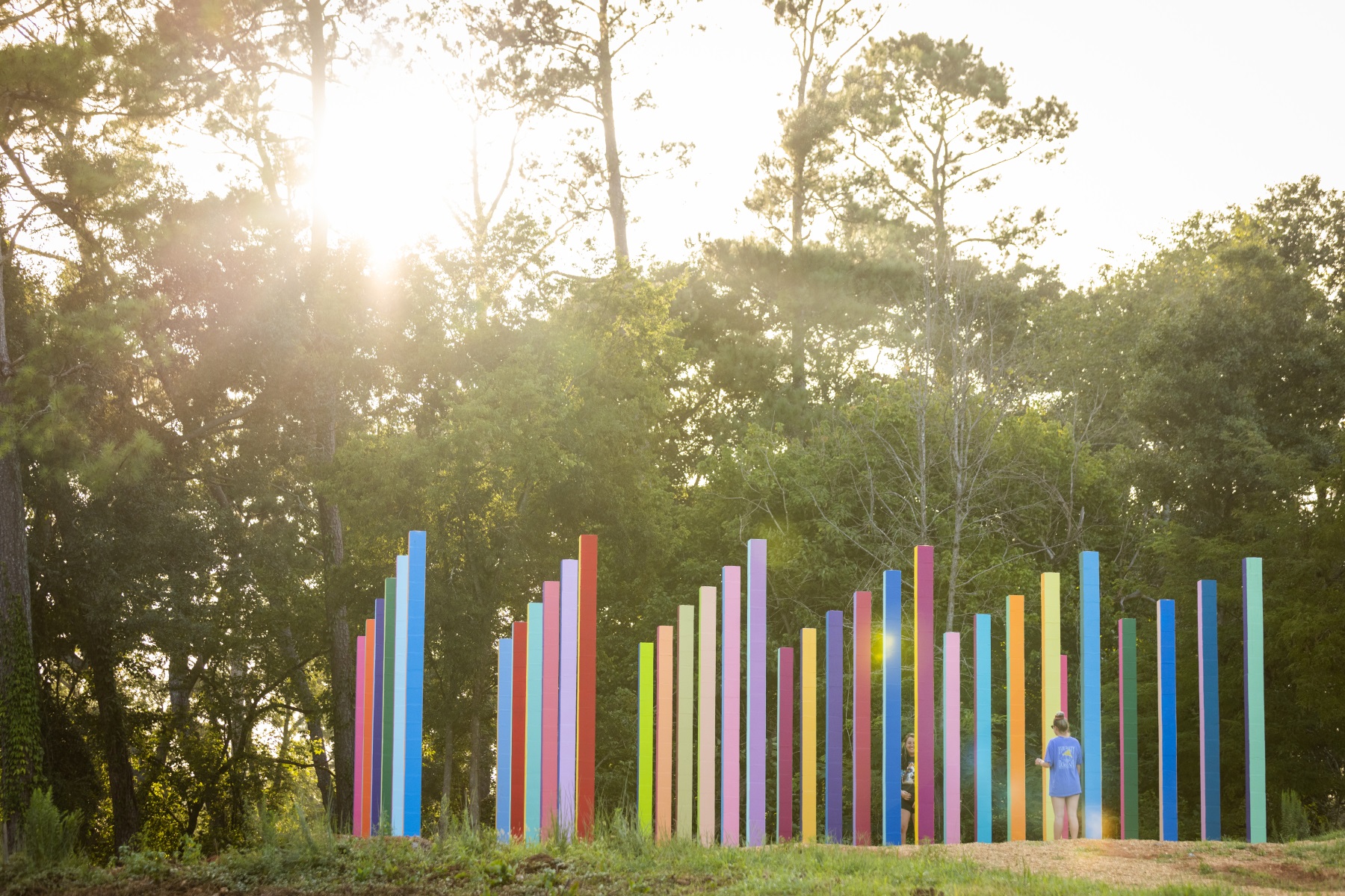 彩虹森林丨美国丨Office Kovacs-66