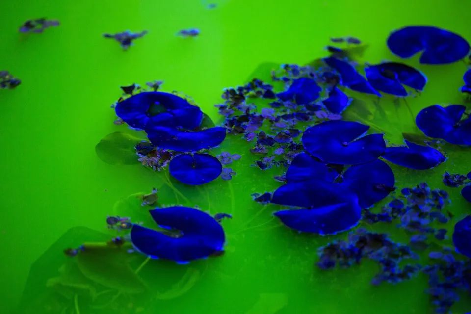 《生命》·融入自然的艺术展览丨Olafur Eliasson-51