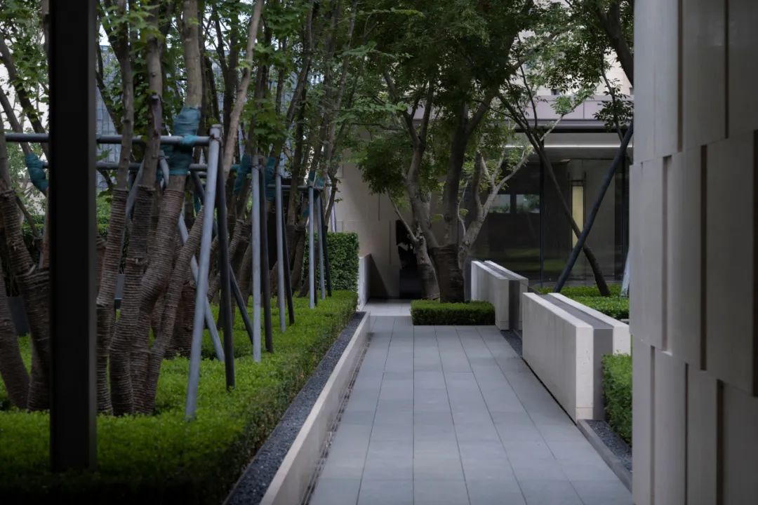 傍山森居 · 自然里流动的优雅 | 大连亿达·青云天下首开区-19