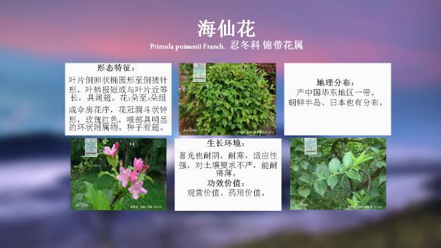 秋凌景观陪伴你学习的第3128天-31