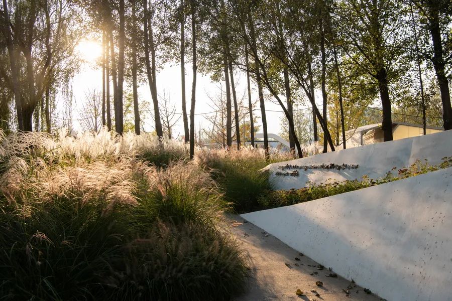 北京海淀光合公园丨中国北京丨Instinct Fabrication 本色营造-13