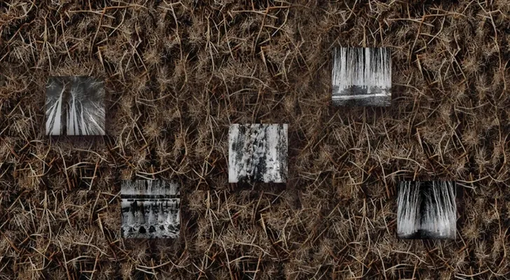 公共艺术项目 «Быть здесь»-3