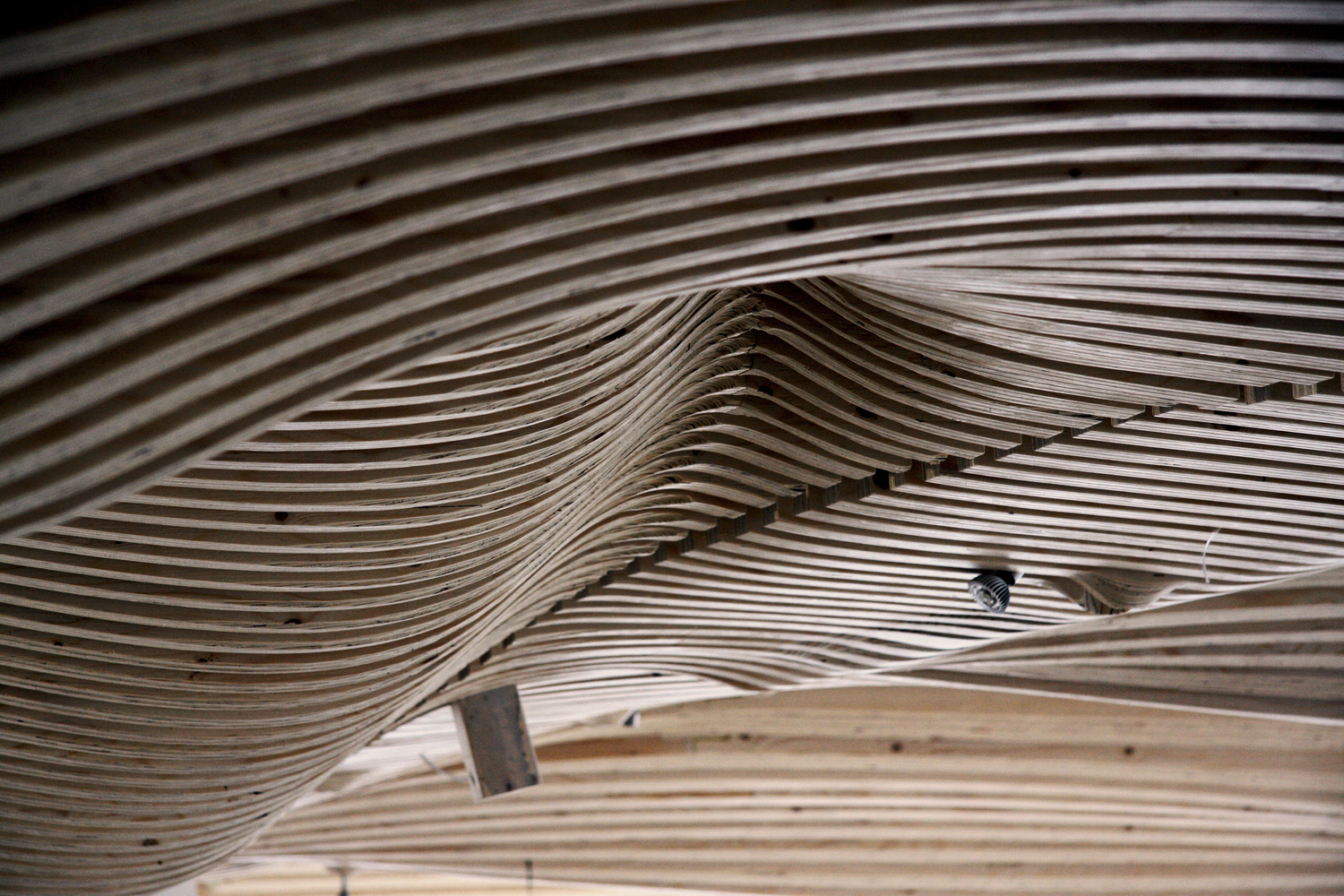 一个主要办公室翻新丨美国丨dECOi Architects-65