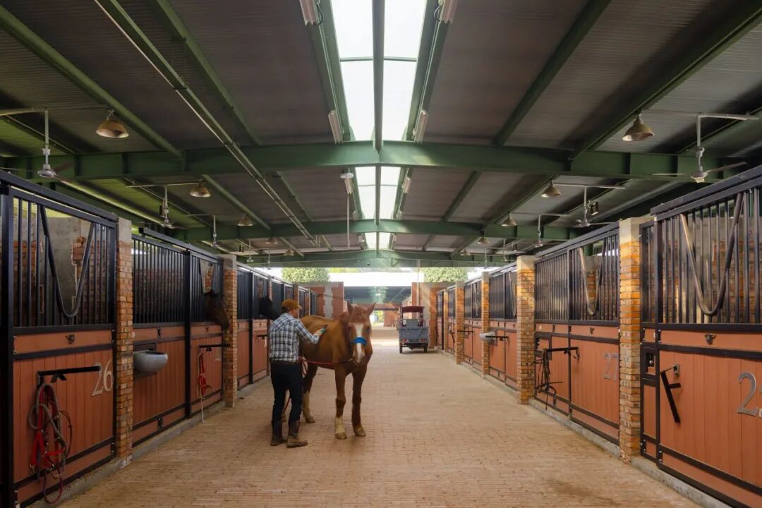 四周PROJECTS|成都马术中心-65