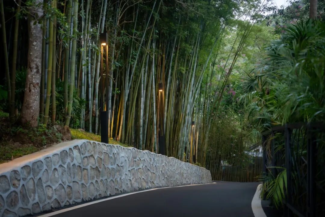 广东温泉宾馆松园一号户外园林景观改造工程丨中国广州-32