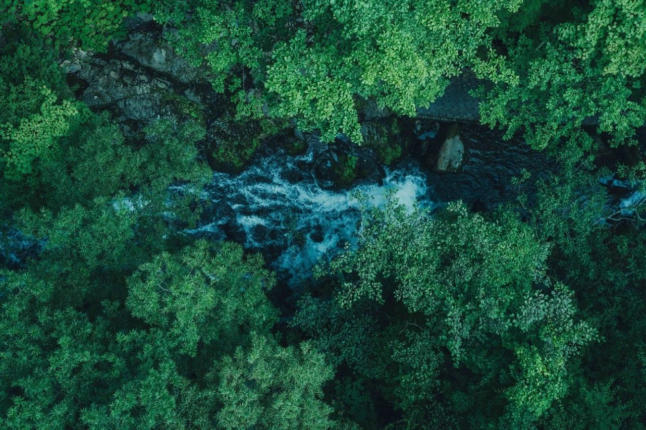 SHINPAKU·民宿丨日本丨Hitotomori建筑设计事务所-104