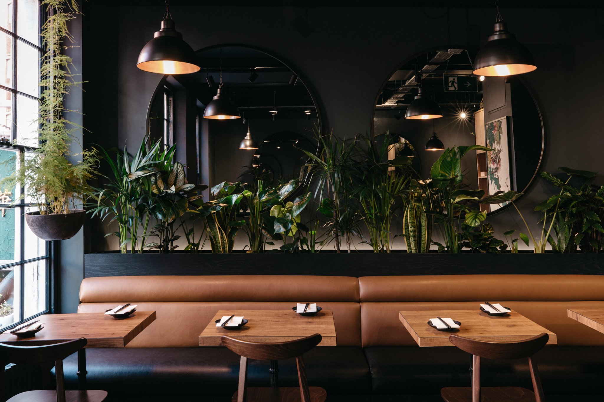 大分索霍丨日本丨Muzo-8