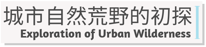 北京怀柔城南森林公园丨中国北京丨北京市园林古建设计研究院有限公司-40