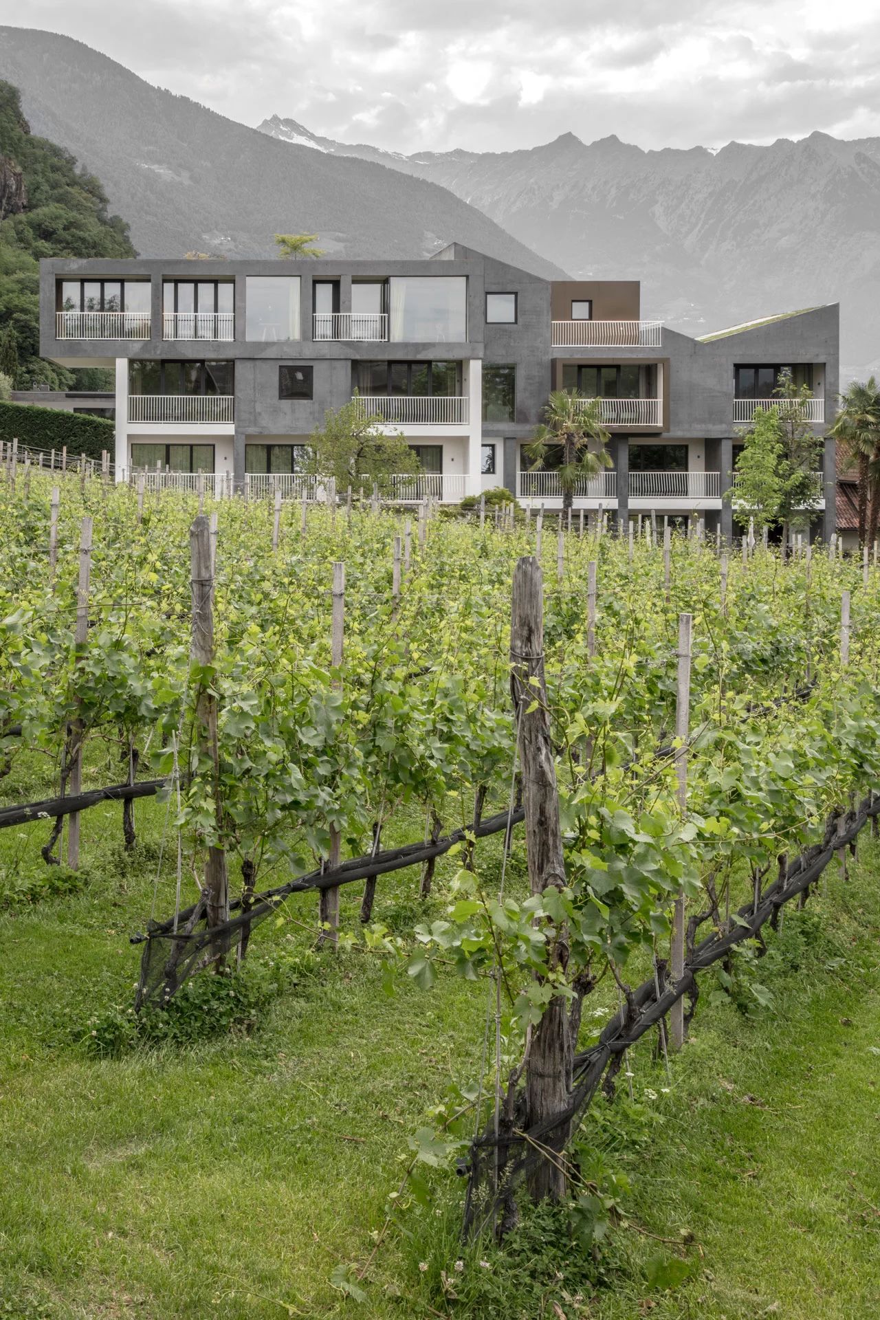 简约灰的极致魅力——bergmeisterwolf 建筑设计事务所案例解析-5