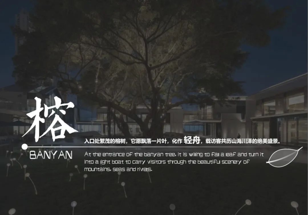 一叶行山海 | 大家天阳·榕华福邸-28