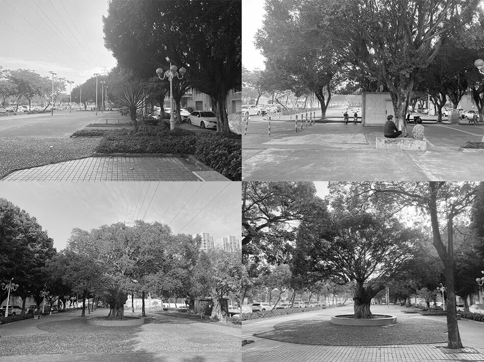 岭南新人居 · 容桂十村示范项目丨中国佛山丨竖梁社,广州市钢砼建筑设计院有限公司-120