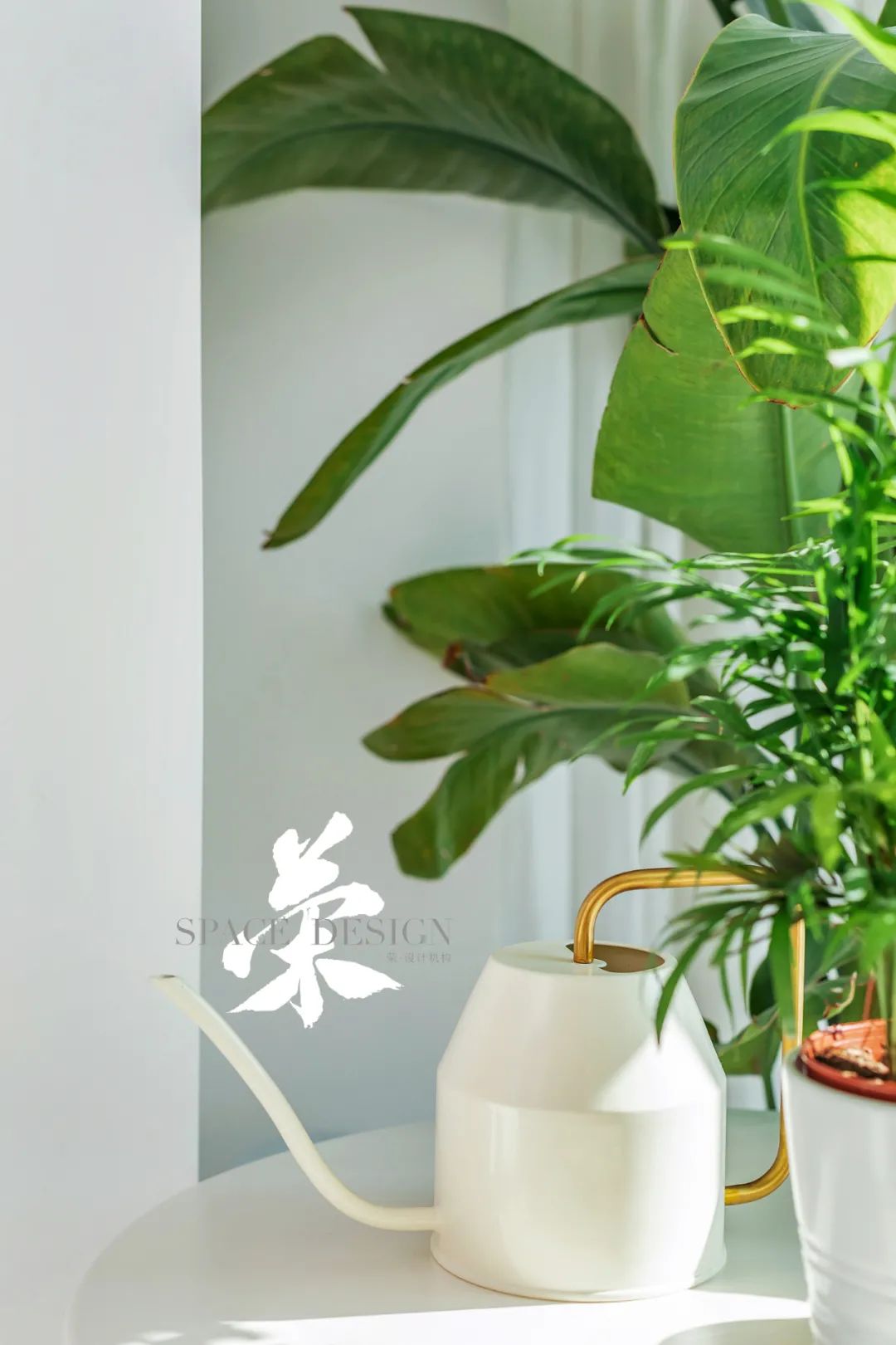 春日猫咪温馨宅 | 设计与生活的完美融合-19