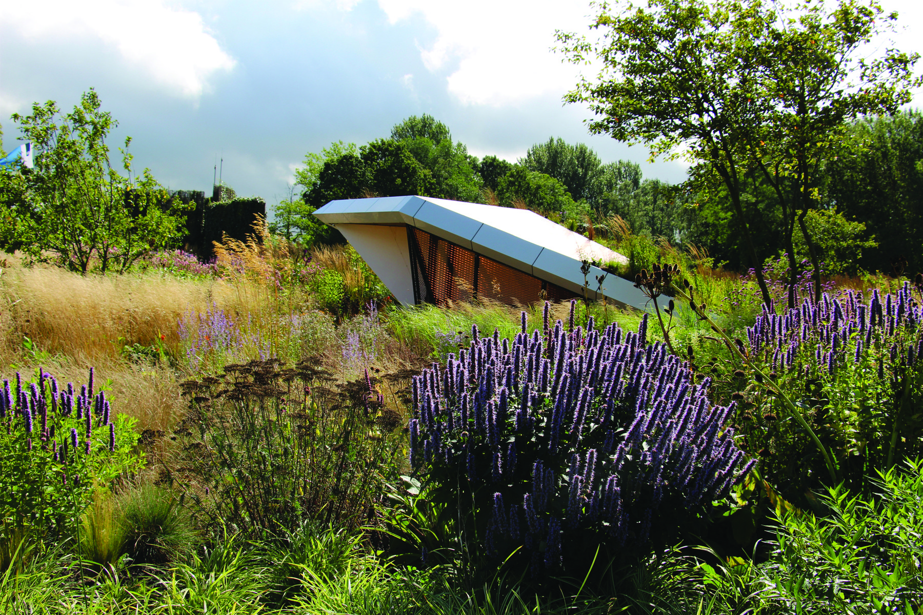 荷兰格罗宁根凯普肯斯堡城市花园-14