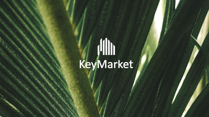 KEYMARKET房地产品牌形象设计-0