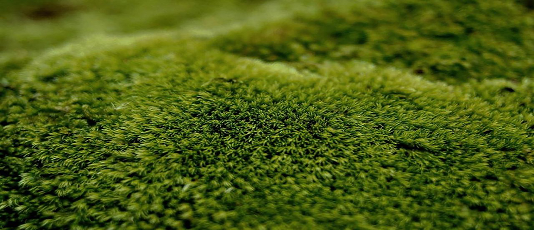 长安麓府艺术体验馆丨中国北京丨北京赛瑞迪普装饰设计集团有限公司-38