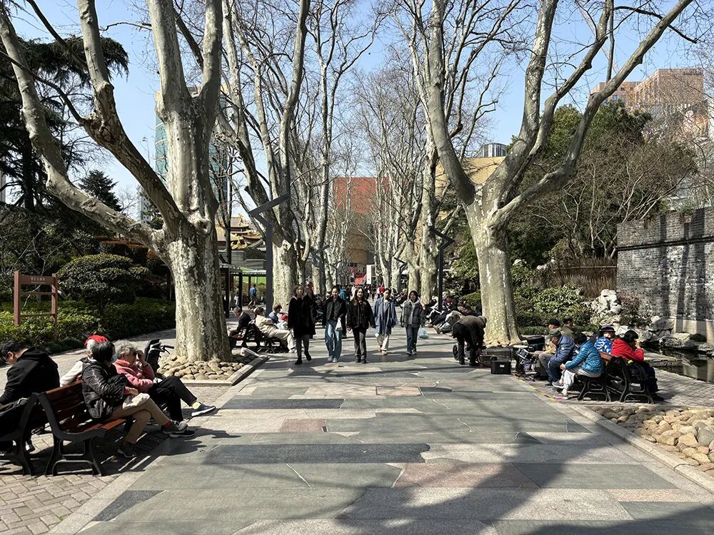 静安公园如何更新-14