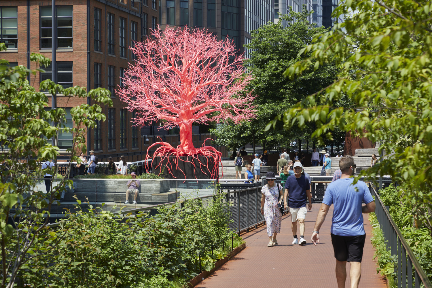 美国高线莫伊尼汉连接器-19