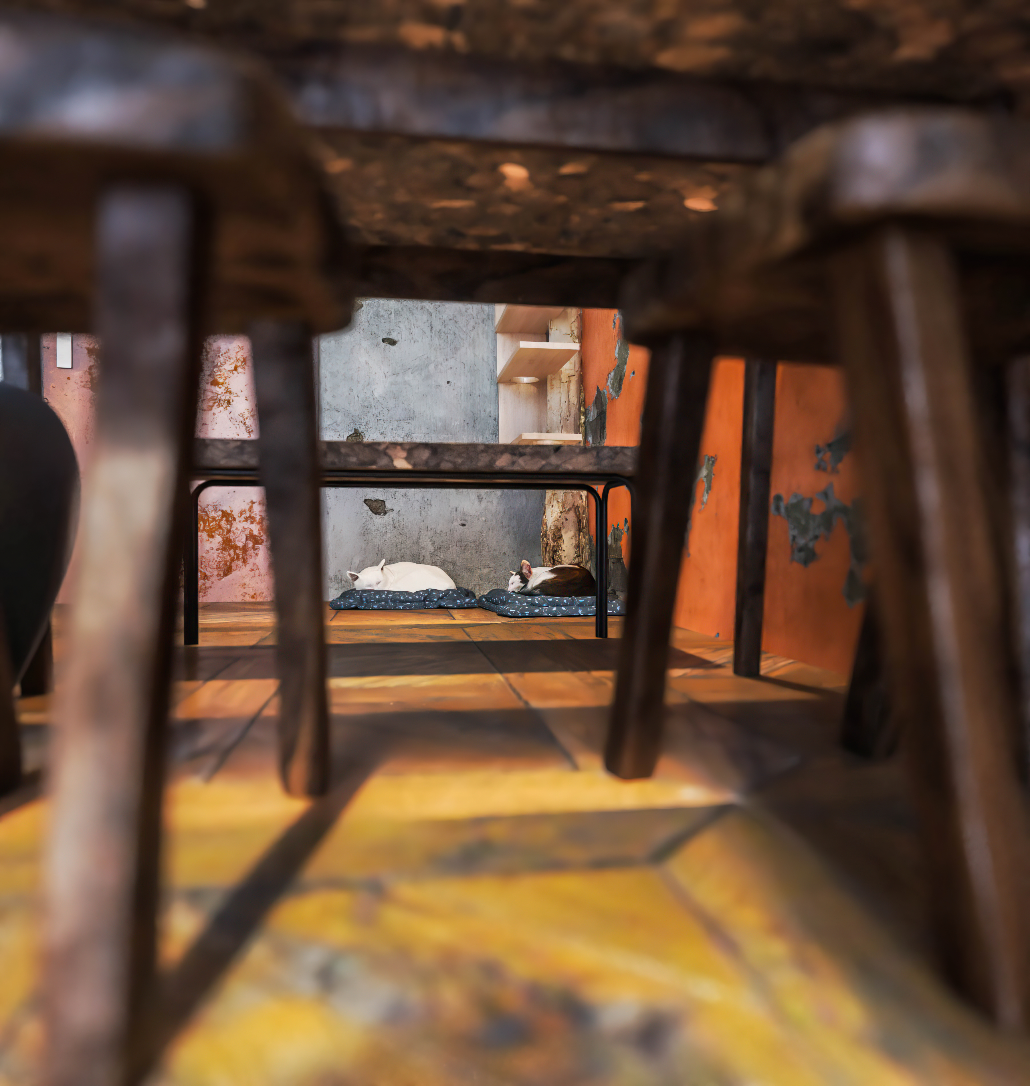 Apartment S601-TheOrigami VinQ9-6