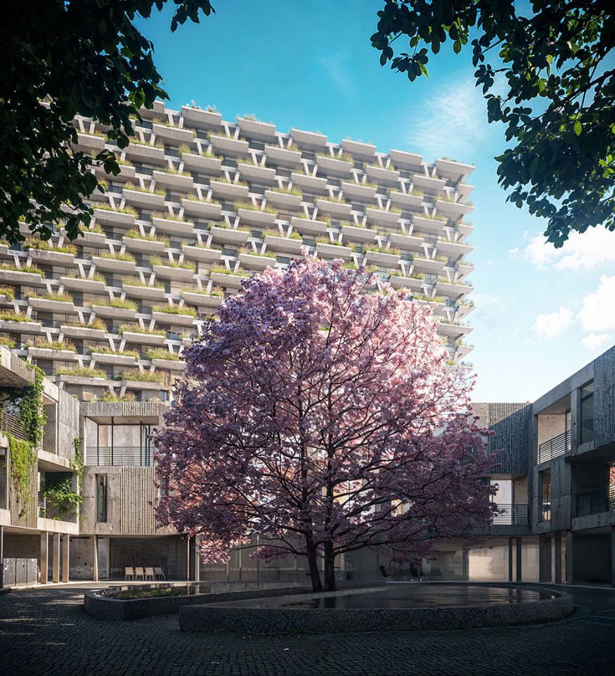 丨巴基斯坦伊斯兰堡丨Lyon,Szot Architecture-34