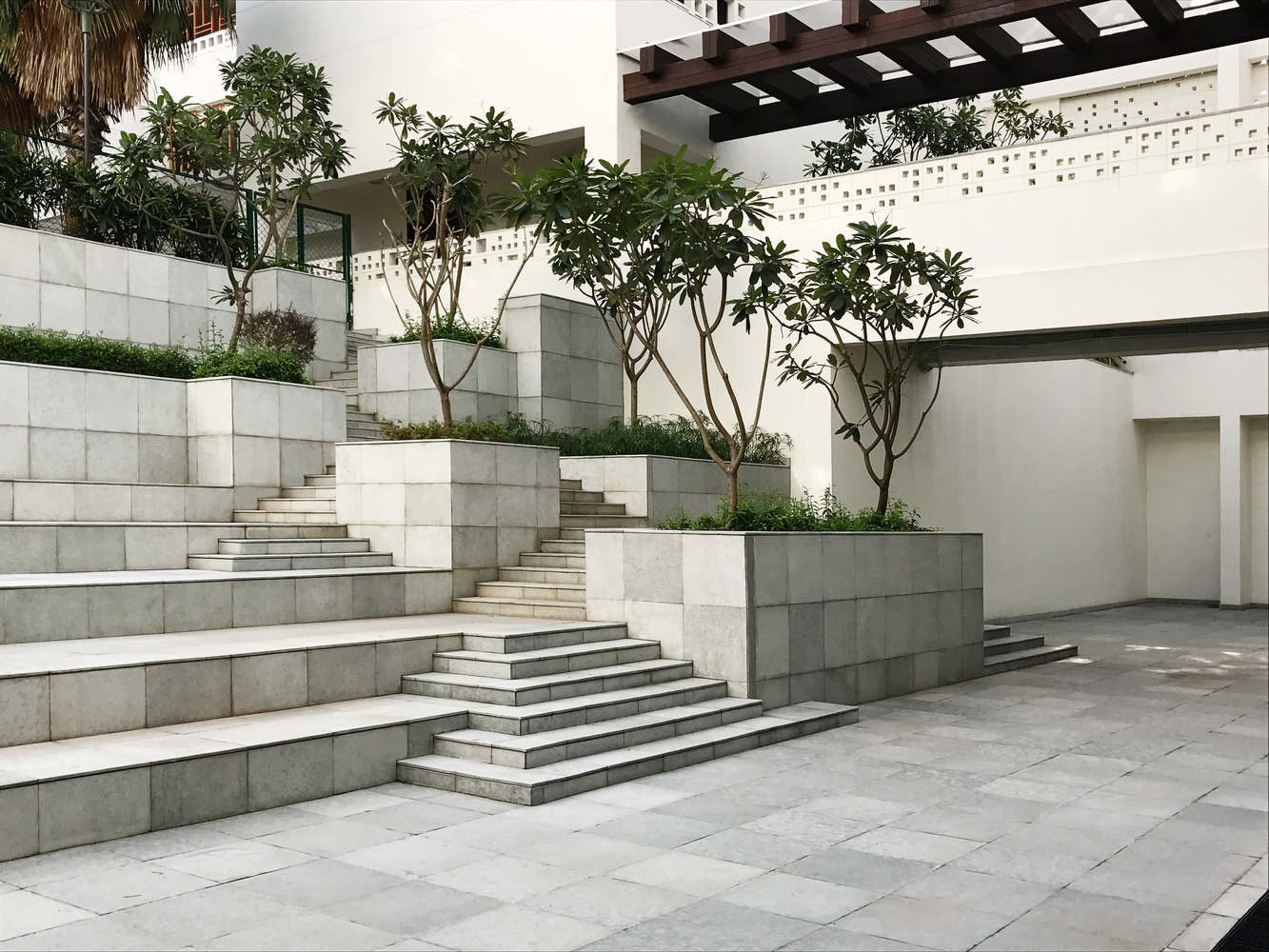 The British School  Morphogenesis-30