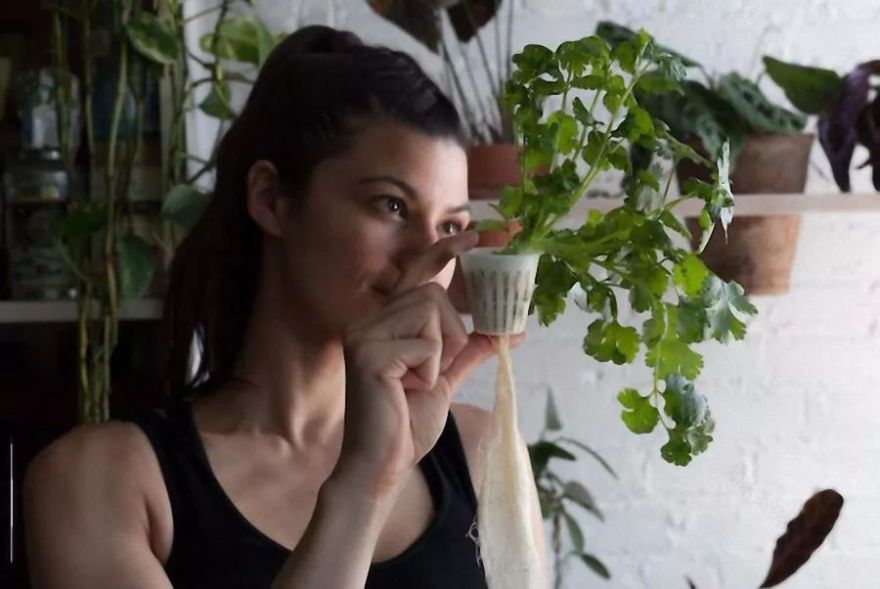 与自然共生 | 一个被植物包围的家-29