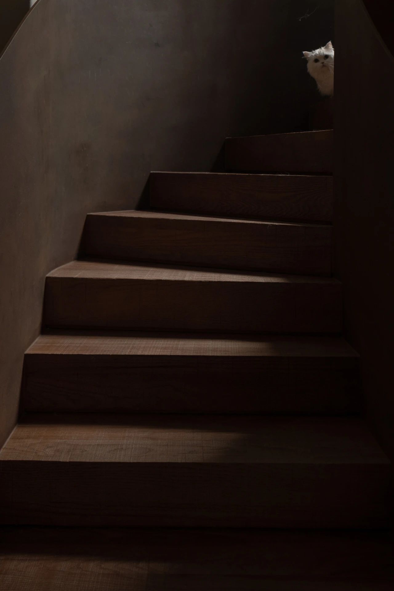 490㎡一人居静谧美宅丨中国北京丨尚层别墅装饰北京分公司-46