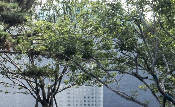 丨中国秦皇岛丨Wutopia Lab-16