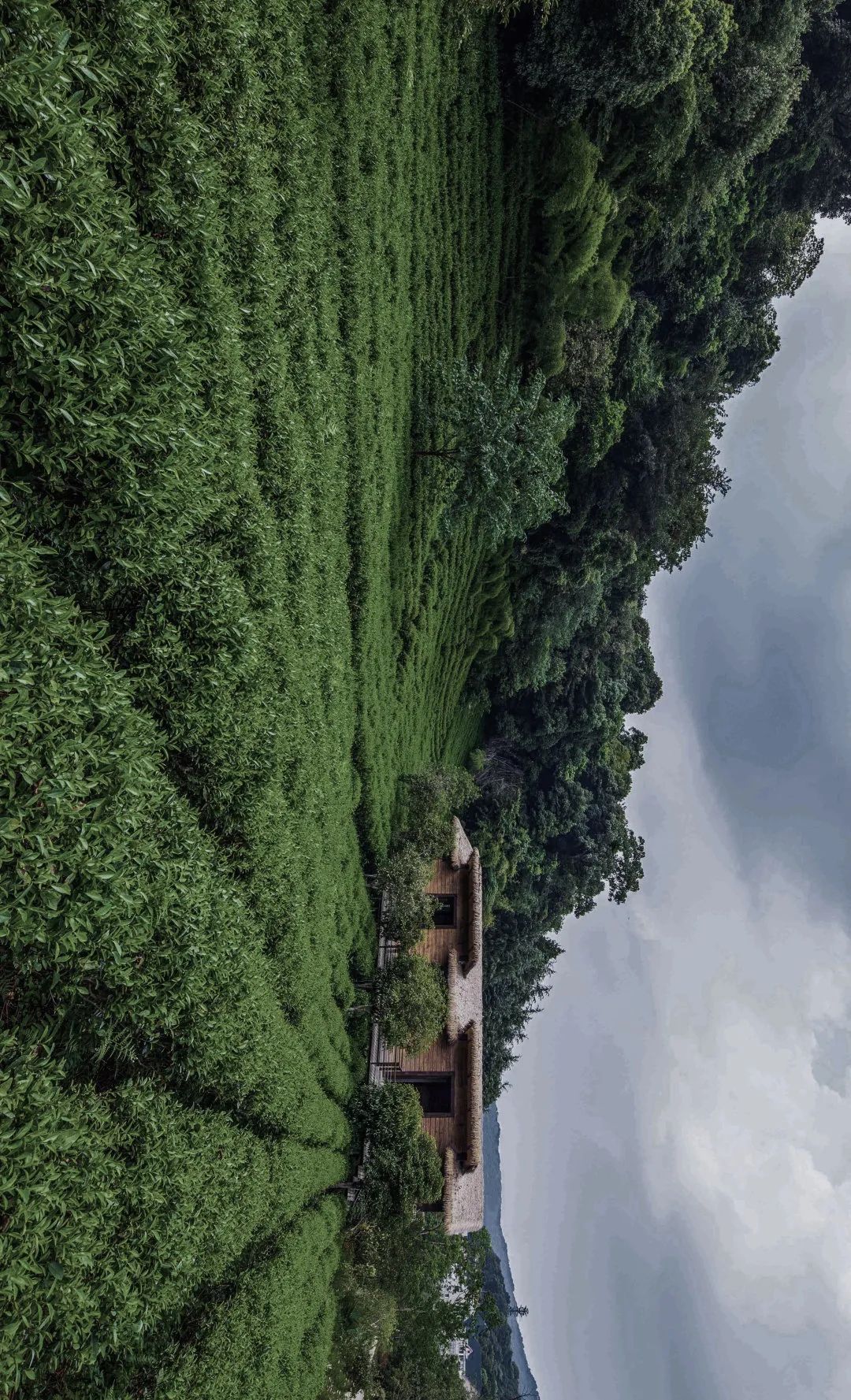 重塑人与自然的连接｜开元森泊度假酒店-69