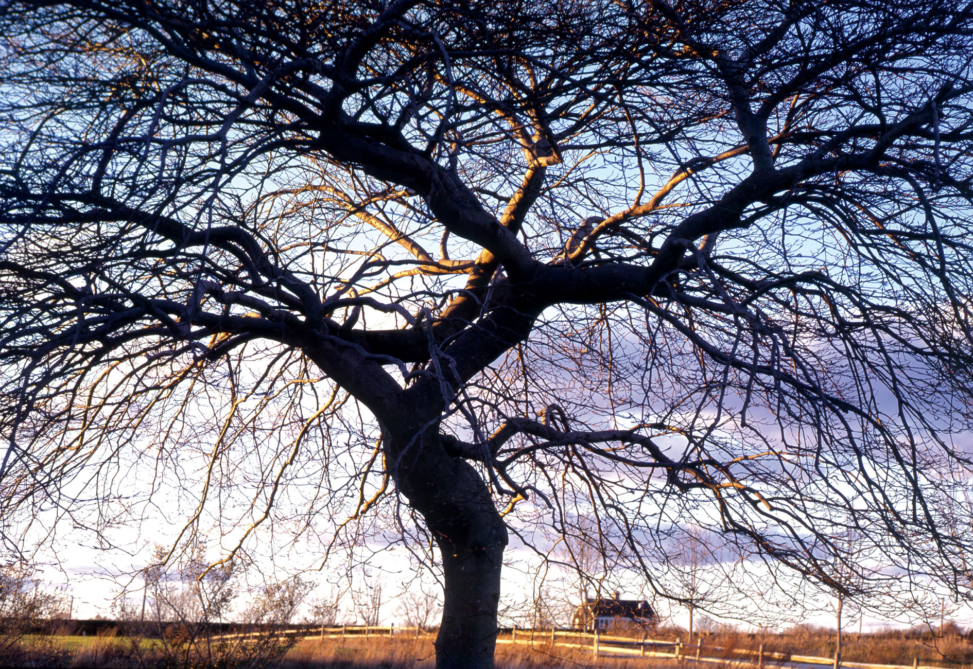 Hamptons Residence II -15