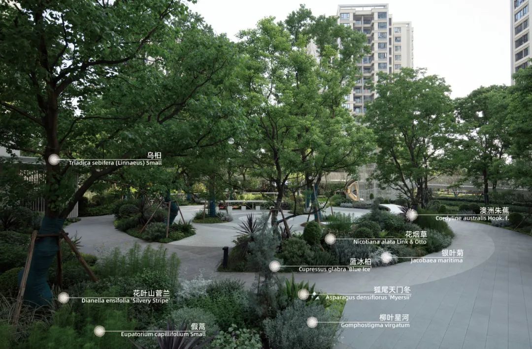 重新组合自然美 · 植物设计浅谈丨中国南京-62