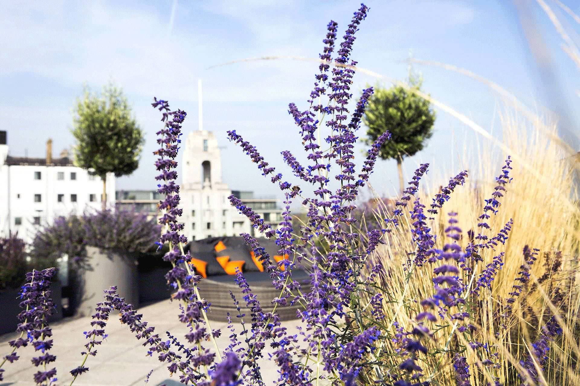 屋顶花园设计,打造城市中的绿洲-45