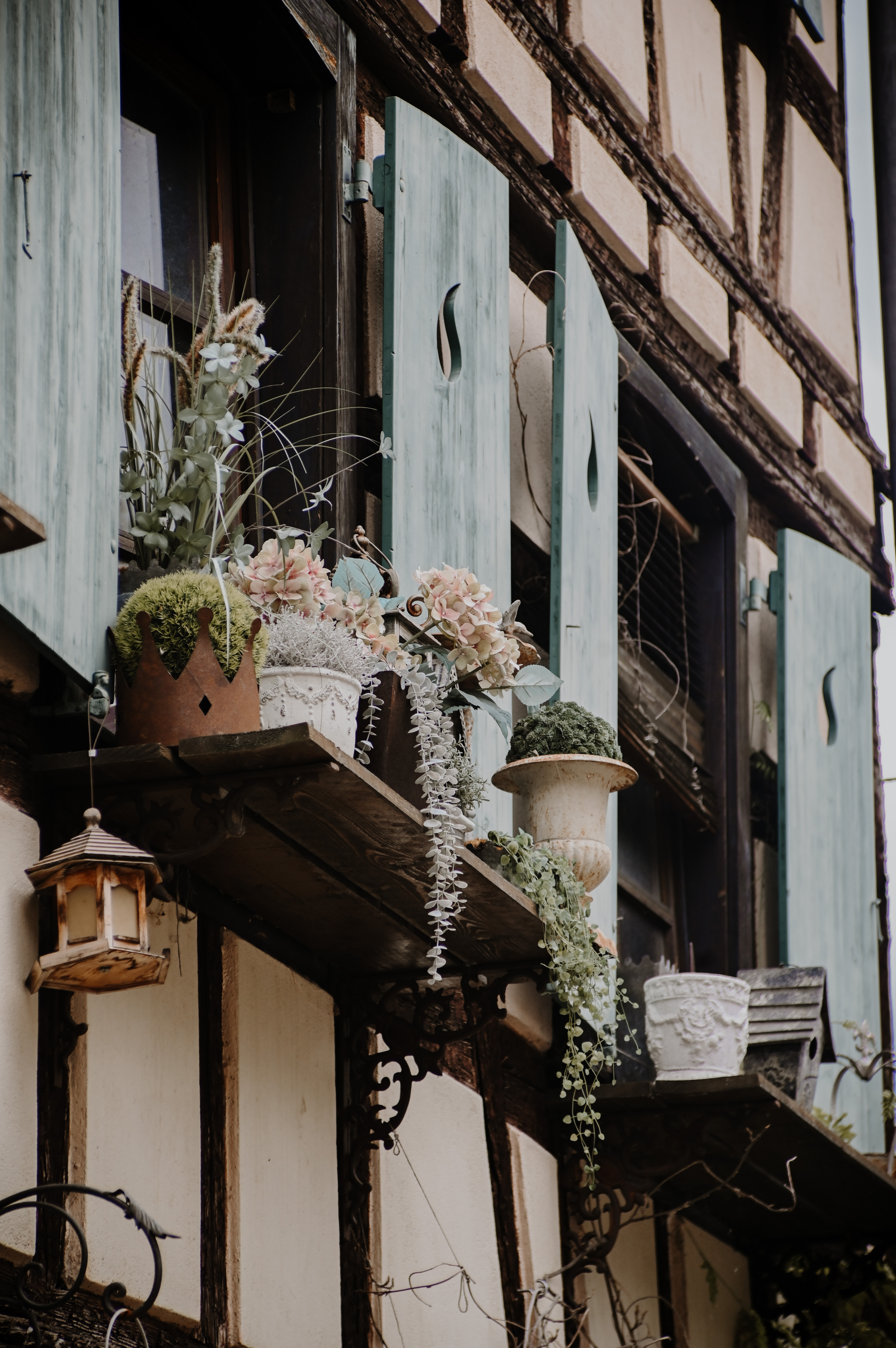 花与建筑的拥抱丨rach_vdb & hash_yan-12