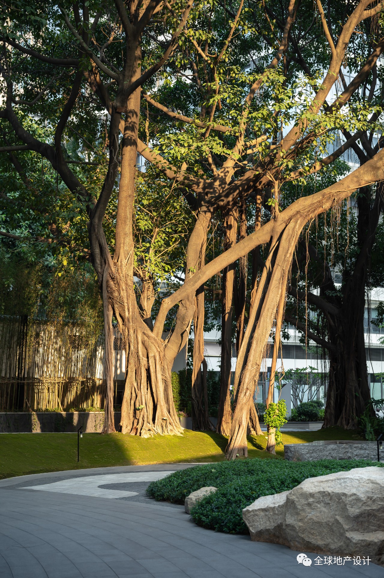 越秀·天河·和樾府 榕樾生活馆丨中国广州丨近境制作-15