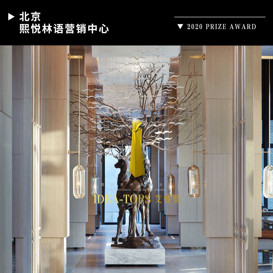 逆水行舟,再攀高峰——SNP 2020 年度回顾-114