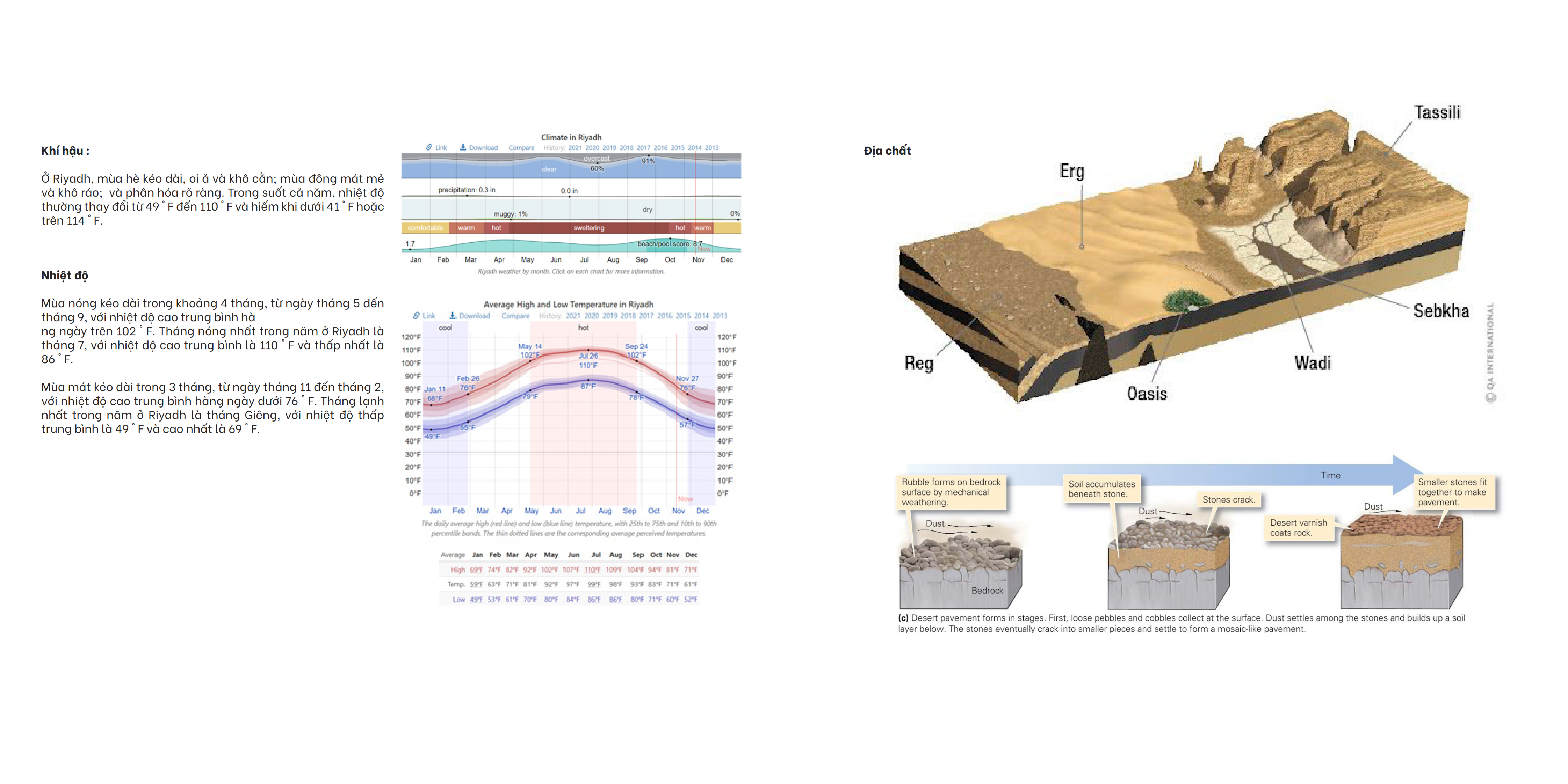 K8 PROJECT : DESERT ACCOMMODATION-4