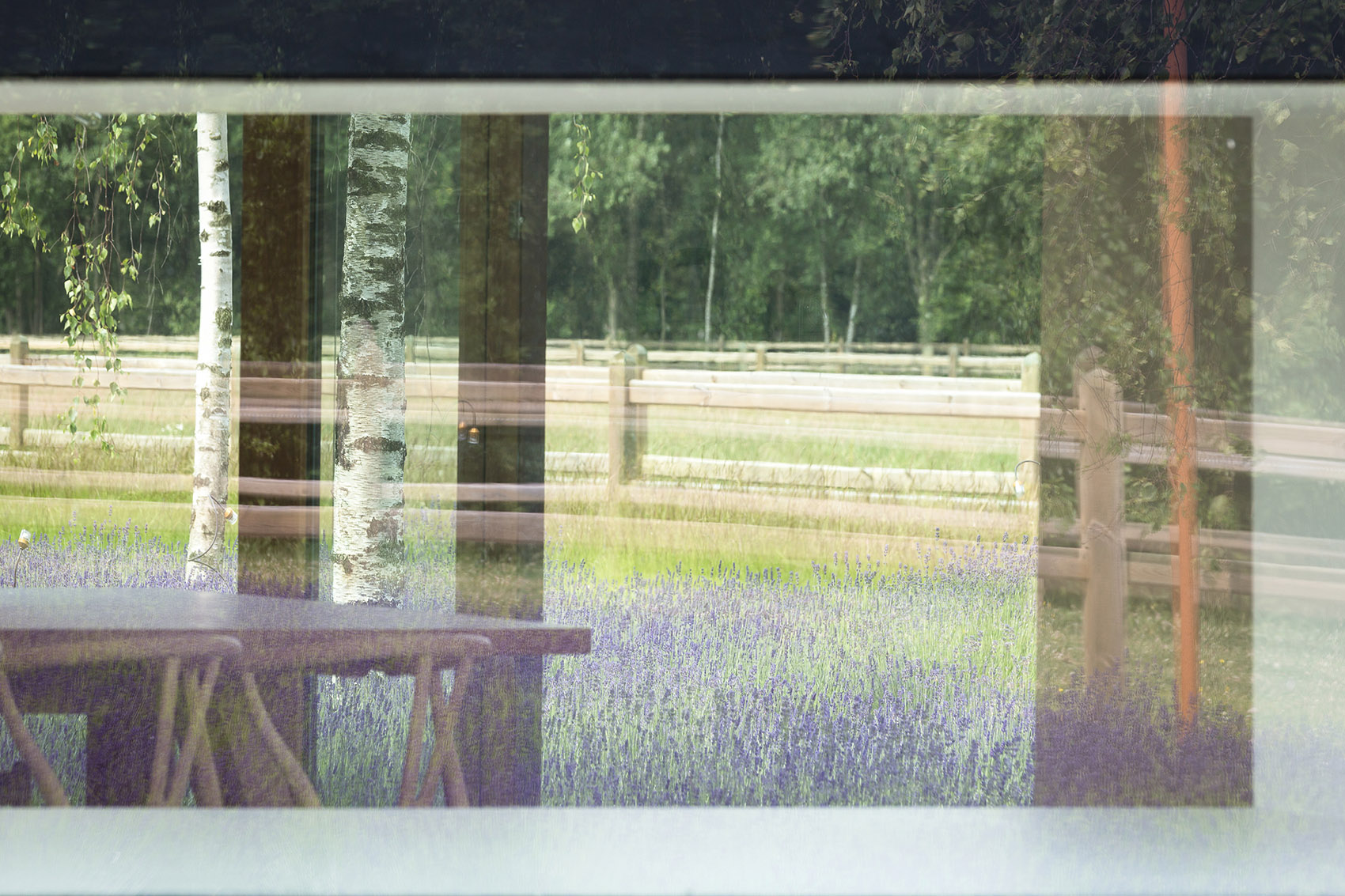 Olmen住宅，比利时 / Pascal François Architects-78