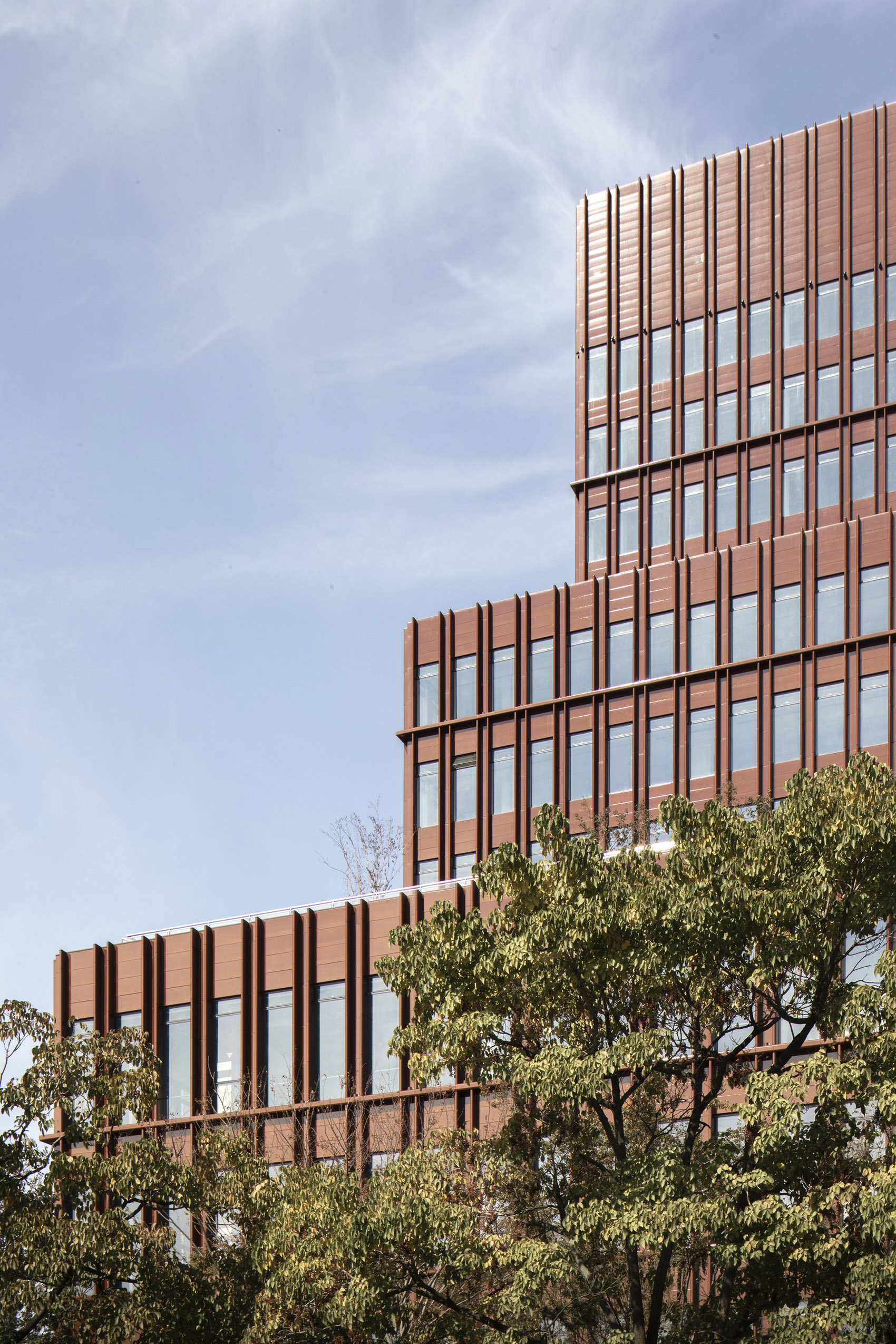 世博滨江·鼎博大厦,上海 / David Chipperfield Architects-22