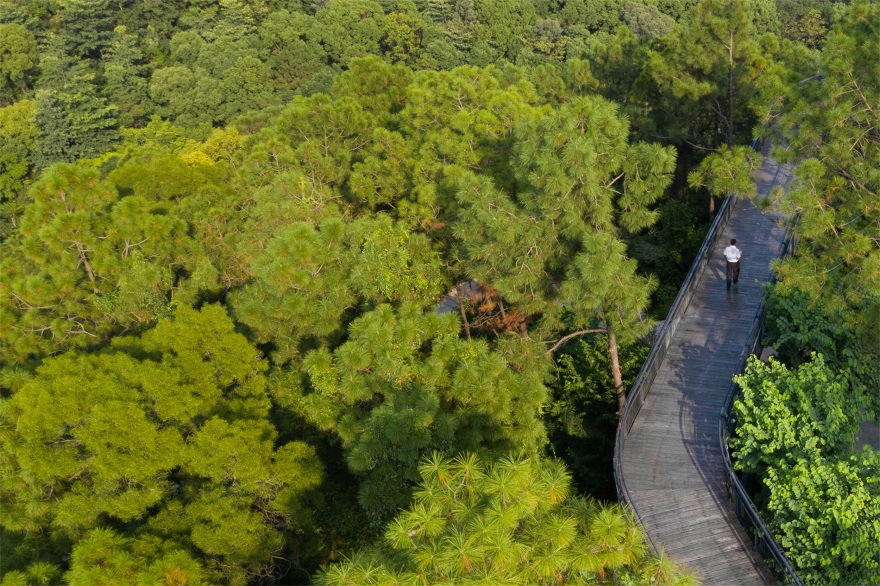 三山森林公园丨中国佛山丨SWA休斯敦工作室-47