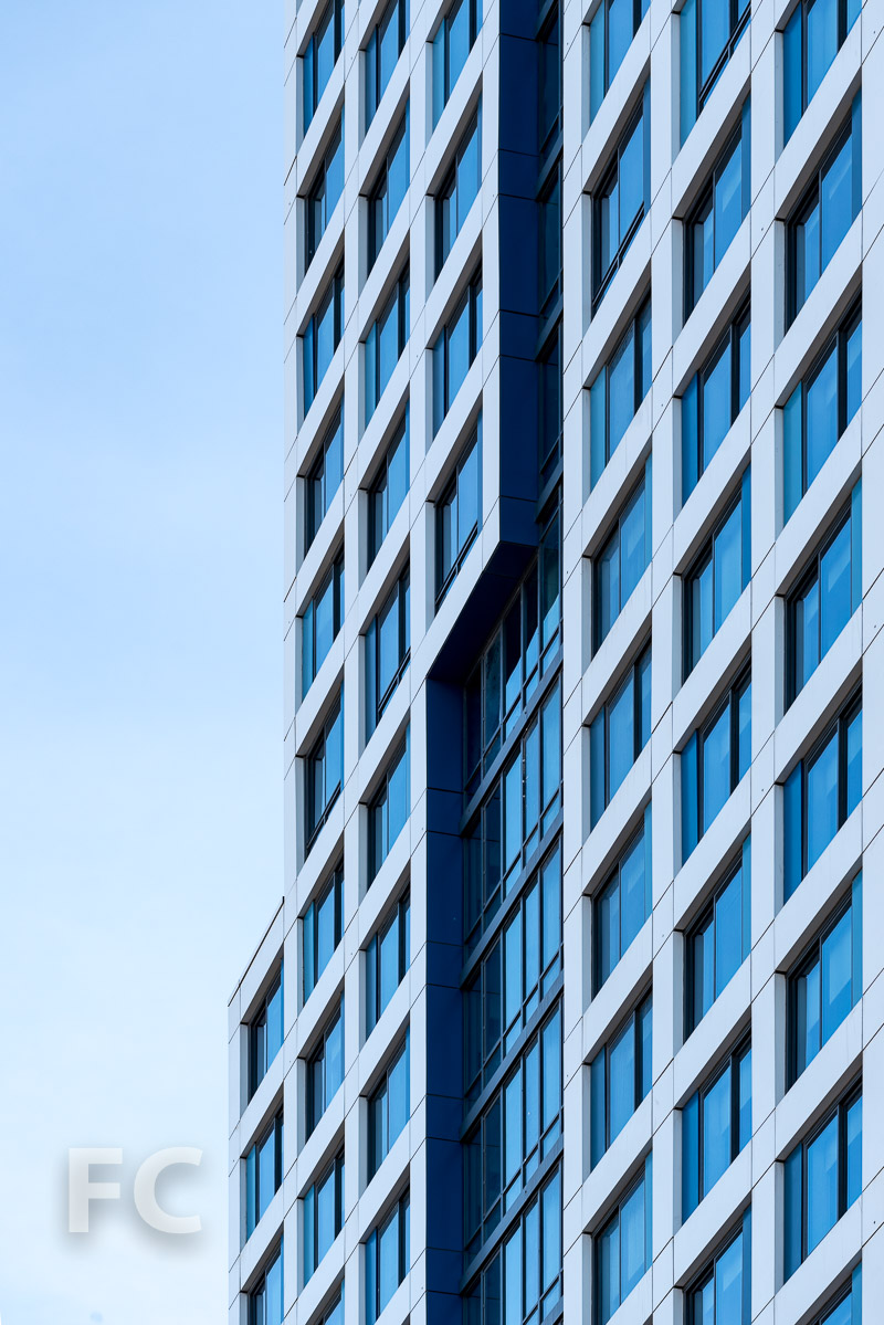 Journal Squared — FIELD CONDITION-5